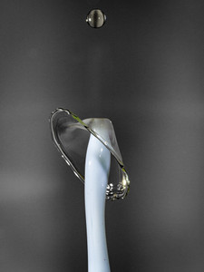 Water Mushroom