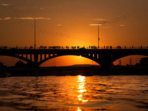 Bat Bridge Sunset