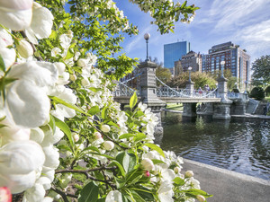 Boston Public Garden in the Spring