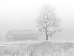 Thaw​