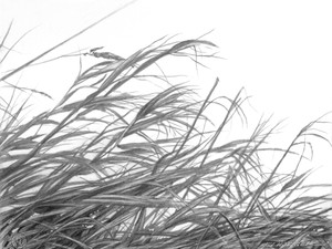 March​​​​