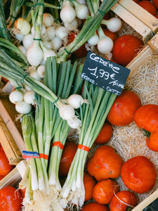 Famers Market
