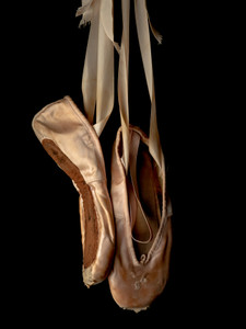 Echoes of Dance