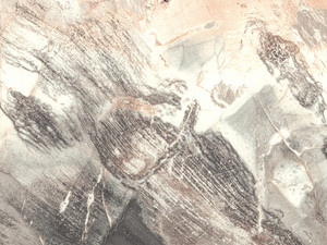 Another particle in the myriad of belonging II