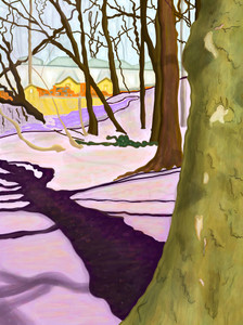 Hill With Crocus