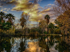 Agua Caliente Park Christmas Day