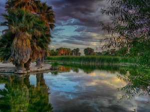 Agua Caliente Park Quiet Afternoon