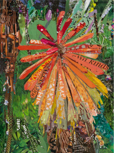 Kirstenbosch Flower