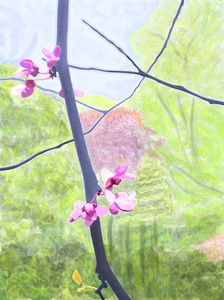 Branch and Blossom