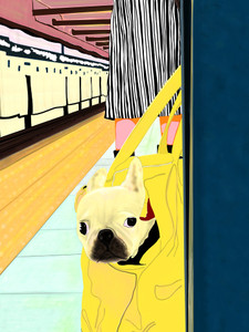 Commuter with Dog in Bag