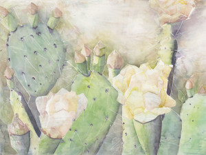 Real Wildflowers of Walnut Creek: Prickly Pear