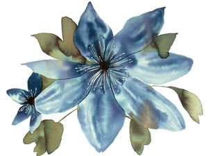 Anemone No. 7