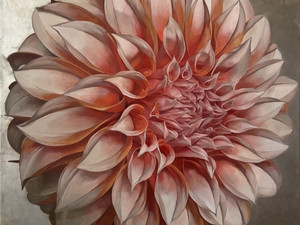 Dahlia​​​​​​​​​​​​