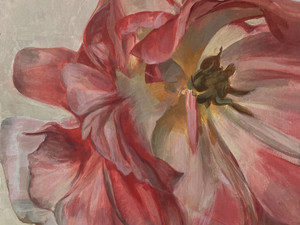 Tulip_02