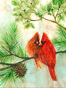 Cardinal Lovebirds
