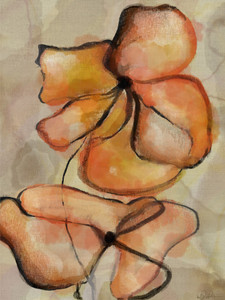 Sunset Lilies