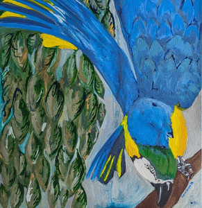 Playful Macaw