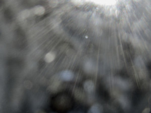 The Black Sky