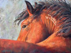 Cisco, BLM Mustang