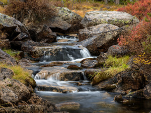Cascading stream in the Sawtooth National Forest