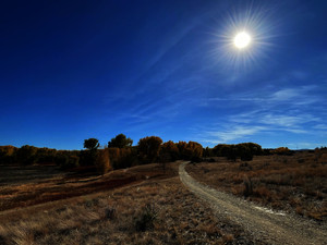 Trailing Sun