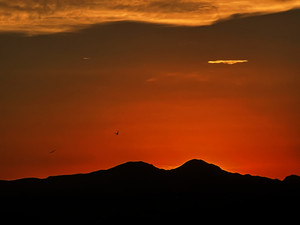 Raven's Light