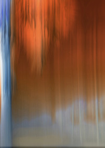Abstract 14