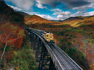 ColorFall 2020​
