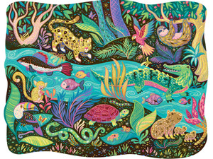 Amazon Rainforest Animals