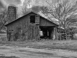 Carolina Barn