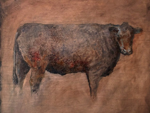 Bull Fog