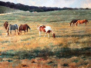 Late Afternoon Grazing​