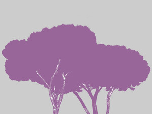 Roman Trees