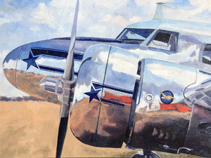 Stars and Stripes​​​