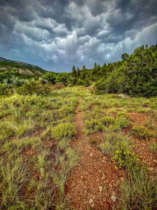 Cloudy Walk