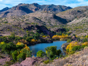 Fall Colors in Southern Arizona