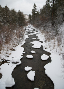 Frozen River