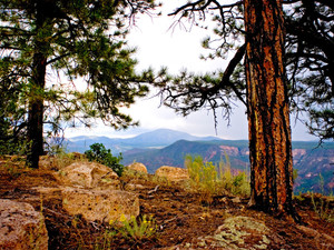 Jemez Mountains