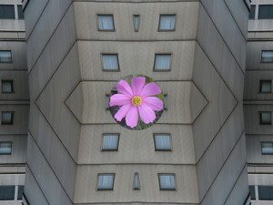 Osaka H2 (detail)