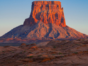 The Tower​​