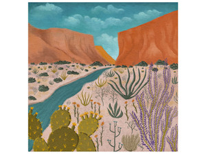 Canyon Dream