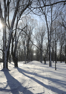 Winter Road