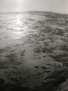 Ocean Sunrise