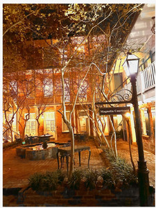 French Quarter Magnolia