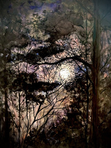December Full Moon