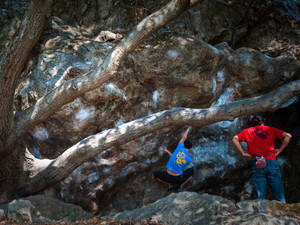 Rock climbing at Mortar Park in Berkeley