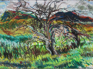 "Mt.Norwottuck and Apple Trees"