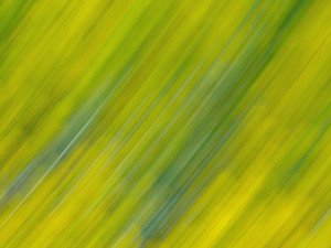 Abstract 3​​