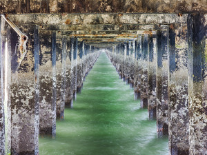 Beneath the Berkeley Pier