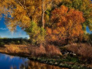 A palette of Fall Colors